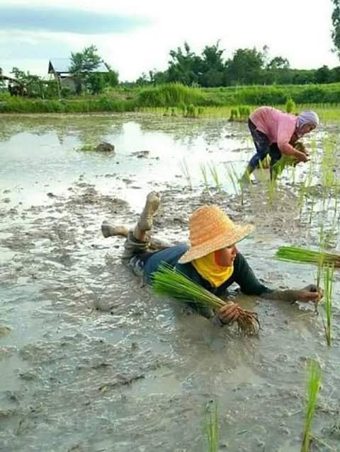 potret kocak orang rebahan © berbagai sumber potret kocak orang rebahan © berbagai sumber