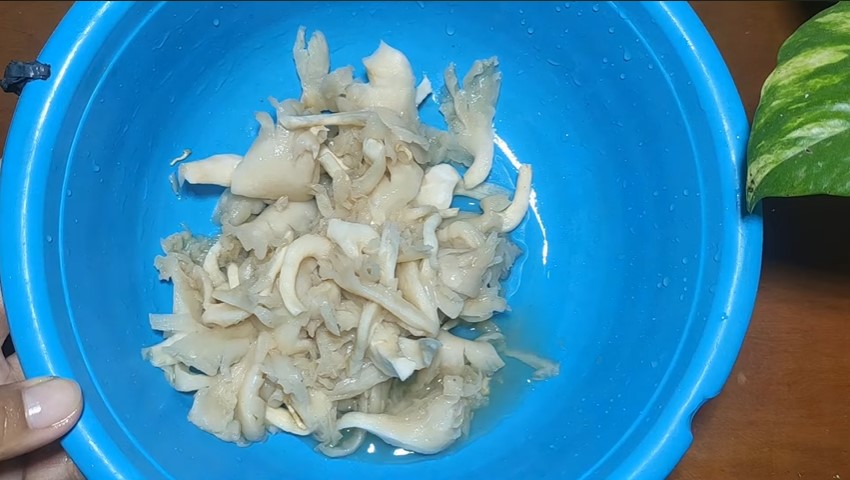 Trik goreng jamur tiram krispi supaya tak menyerap minyak dan minyaknya tak kotor