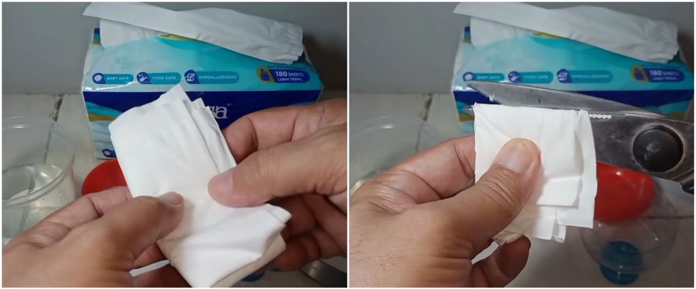 Cara mudah membuat perangkap cicak pakai 2 bahan dapur