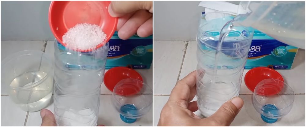 Cara mudah membuat perangkap cicak pakai 2 bahan dapur