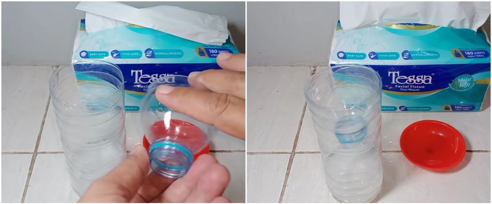 Cara mudah membuat perangkap cicak pakai 2 bahan dapur