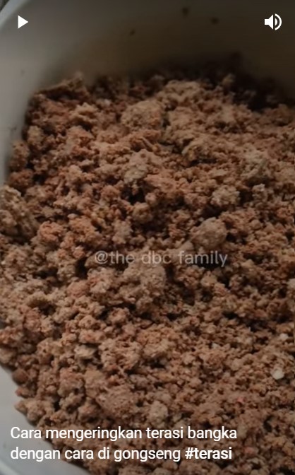 Bukan dijemur atau disangrai, ini ini trik mengeringkan terasi agar harum dan awet tanpa kulkas