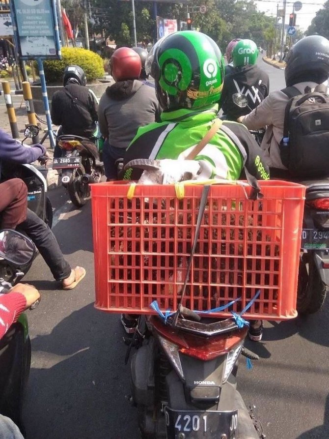 Potret kocak barang dibawa ojek online © Instagram