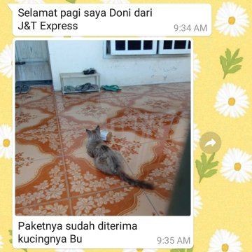 11 Chat lucu kurir dan pembeli barang © berbagai sumber 11 Chat lucu kurir dan pembeli barang © berbagai sumber