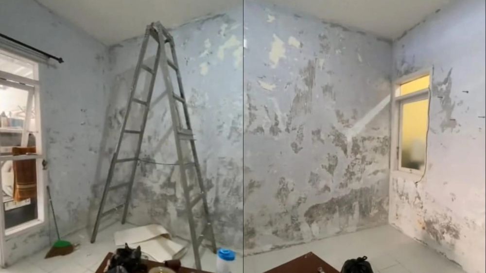 Cuma pakai wallpaper © TikTok