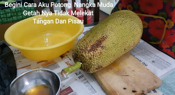 Pakai tambahan 1 bahan dapur, ini trik mudah potong nangka muda agar getah tak lengket di tangan