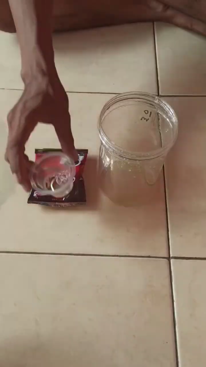 Cara sederhana bikin perangkap cicak cuma pakai 2 bahan dapur, mudah ditiru