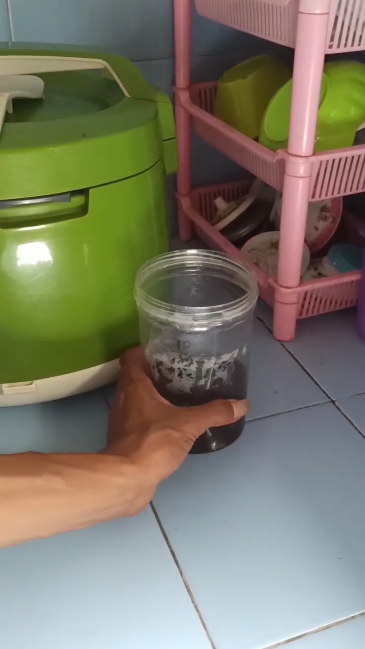 Cara sederhana bikin perangkap cicak cuma pakai 2 bahan dapur, mudah ditiru
