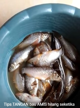 Bukan pakai jeruk nipis atau kopi, ini cara praktis hilangkan bau amis di tangan usai mengolah ikan