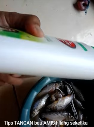 Bukan pakai jeruk nipis atau kopi, ini cara praktis hilangkan bau amis di tangan usai mengolah ikan