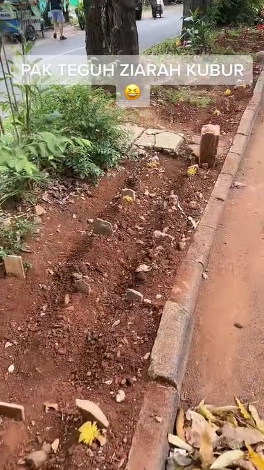 penjaga pemakaman kucing Berbagai sumber