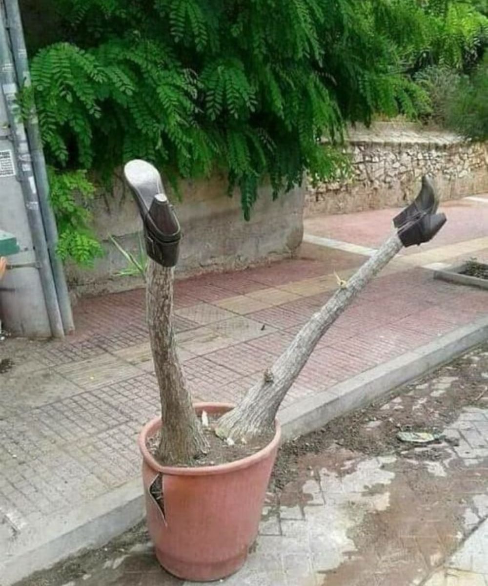 Jangan ngeres! 11 gambar lucu © 2023 berbagai sumber