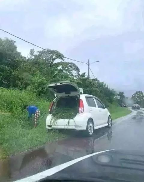 Potret kocak di pinggir jalan Berbagai sumber