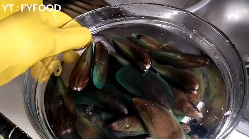 Trik mencuci dan mengolah kerang hijau agar rasanya semakin enak dan antiamis