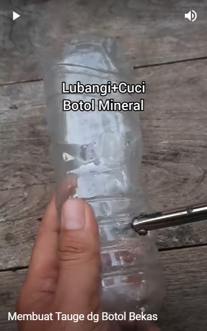 Tanpa ditanam, begini trik bikin tauge dari kacang hijau menggunakan botol bekas