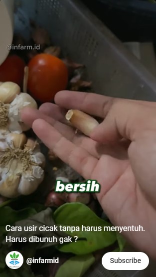 Tak perlu bikin perangkap, ini cara sederhana cegah cicak datang cuma pakai 1 bahan dapur