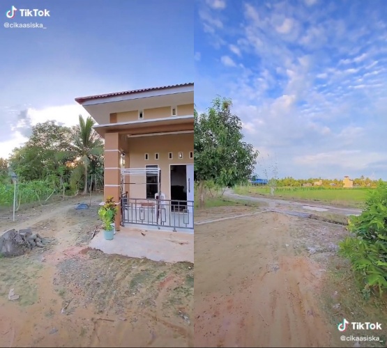 potret rumah di pinggir sawah © TikTok potret rumah di pinggir sawah © TikTok