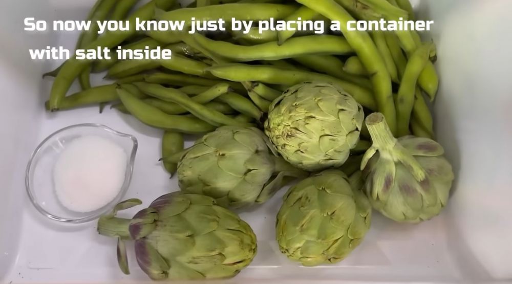 Jadi penyebab makanan cepat basi, ini cara mengurangi kelembapan di kulkas pakai dua bahan dapur