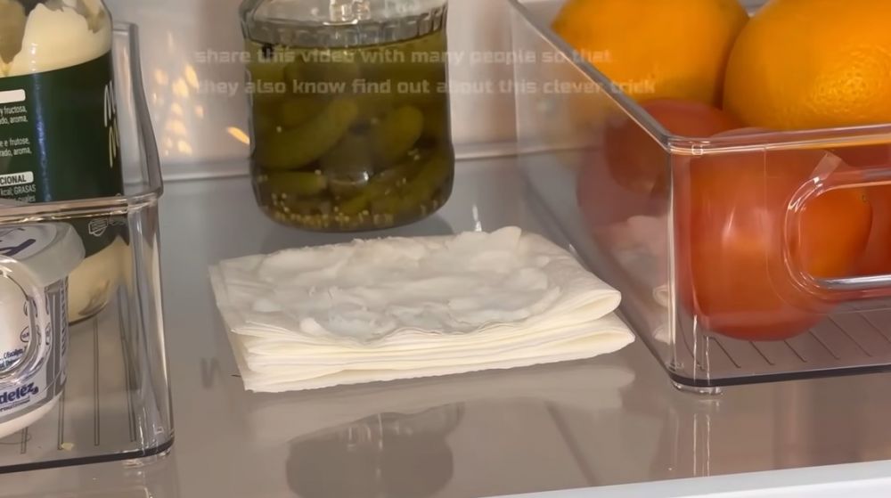 Jadi penyebab makanan cepat basi, ini cara mengurangi kelembapan di kulkas pakai dua bahan dapur