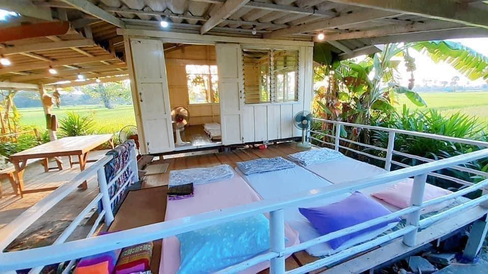 rumah tengah sawah bikin betah © Facebook