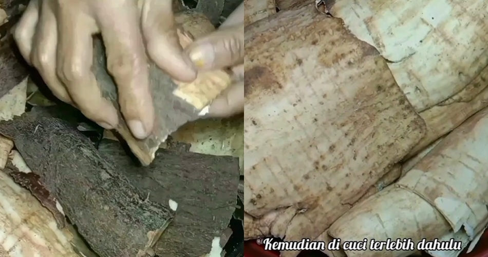 Trik jitu goreng kulit singkong supaya nggak keras, tidak hambar, dan aman dikonsumsi