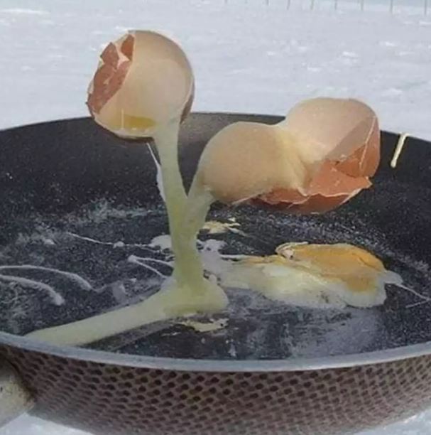 Potret kocak orang masak telur Berbagai sumber Potret kocak orang masak telur Berbagai sumber