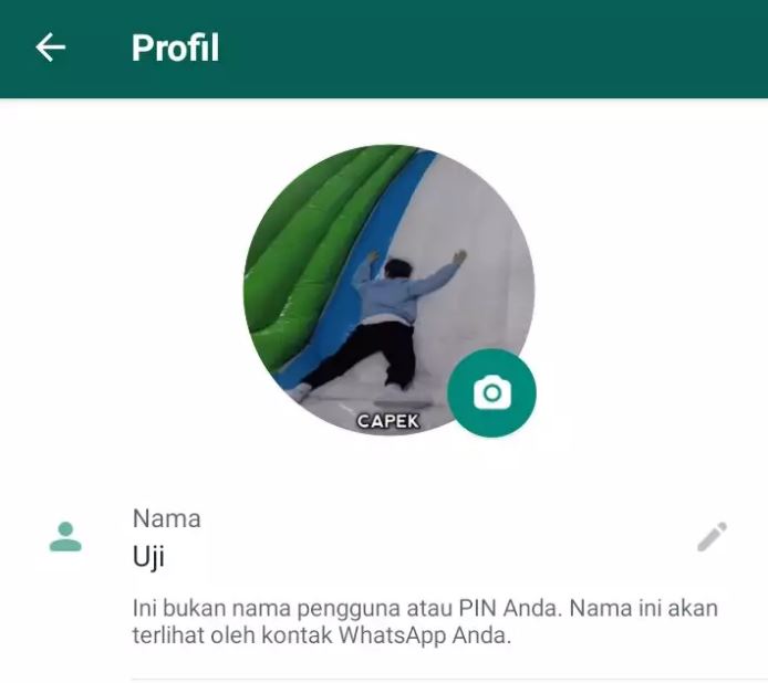 potret kocak foto profil WhatsApp Berbagai sumber
