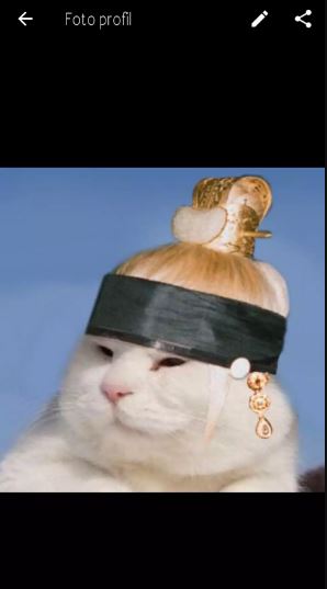 potret kocak foto profil WhatsApp Berbagai sumber