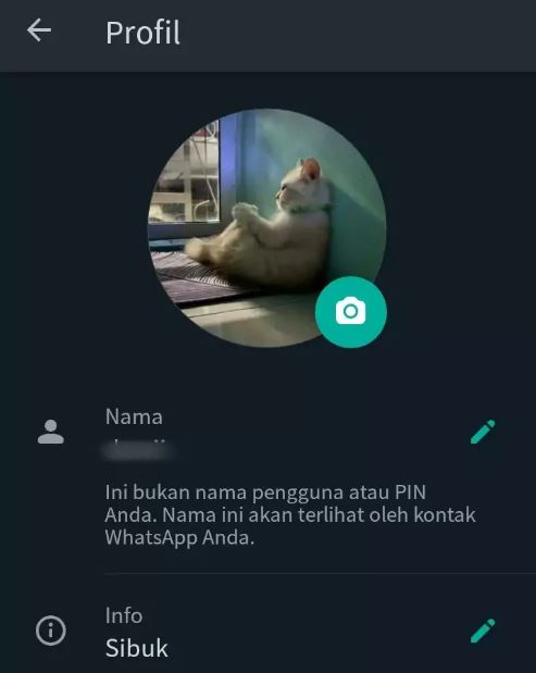 potret kocak foto profil WhatsApp Berbagai sumber