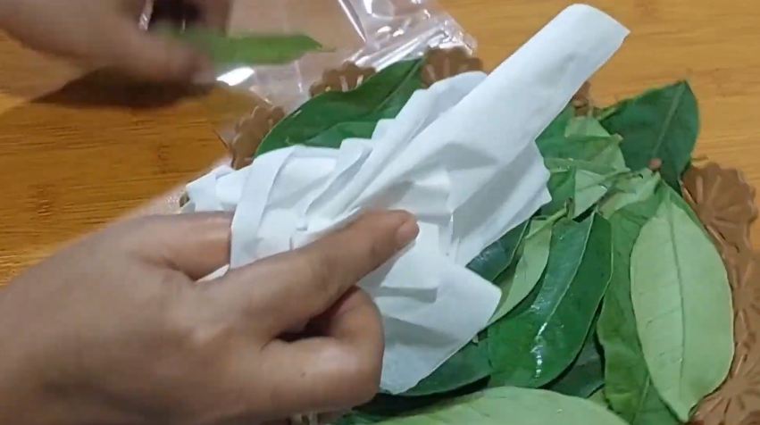 Tanpa perlu dijemur, ini cara simpan daun salam agar tetap segar dan hijau hingga berbulan-bulan