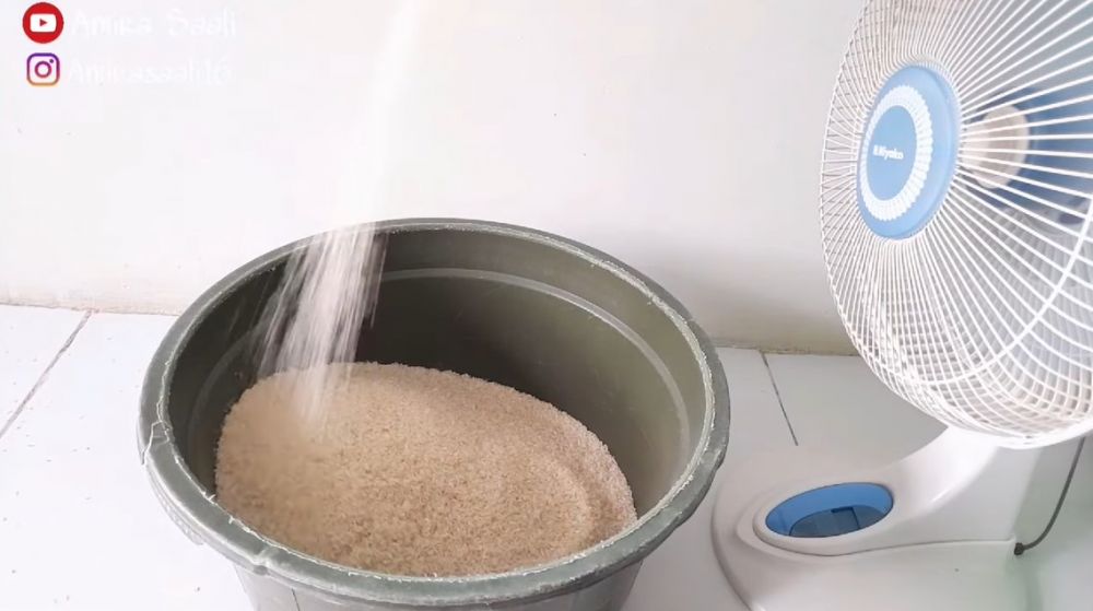 Tak perlu bahan atau alat khusus, ini trik basmi semut dan kutu pada beras