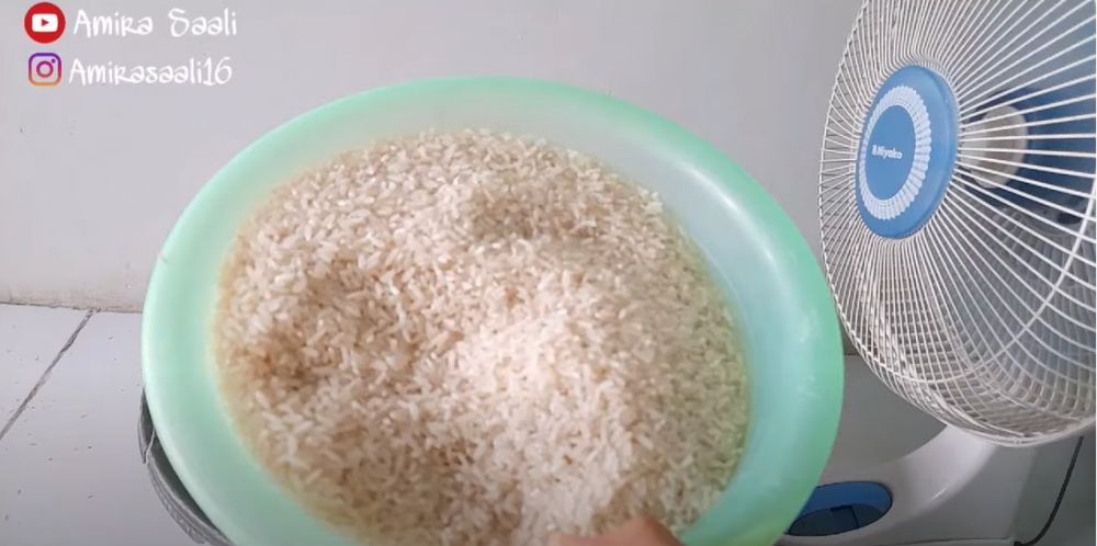 Tak perlu bahan atau alat khusus, ini trik basmi semut dan kutu pada beras