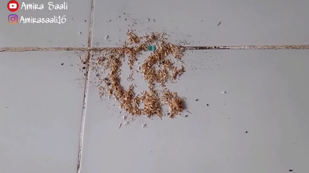 Tak perlu bahan atau alat khusus, ini trik basmi semut dan kutu pada beras
