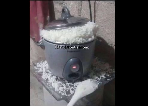 Potret kocak saat menanak nasi Berbagai sumber Potret kocak saat menanak nasi Berbagai sumber