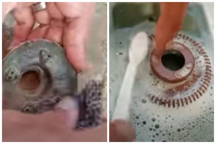 Cukup pakai 2 bahan, begini cara ampuh bersihkan noda membandel pada tungku kompor