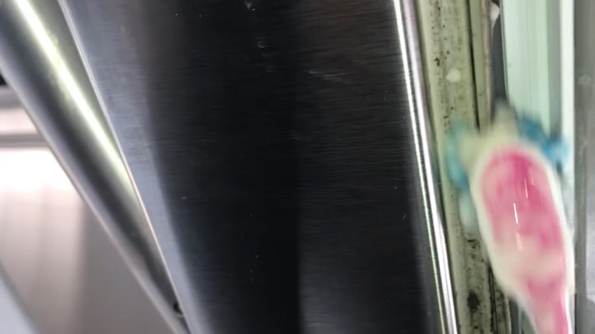 Cuma pakai 2 bahan dapur, begini cara basmi jamur di karet pintu kulkas