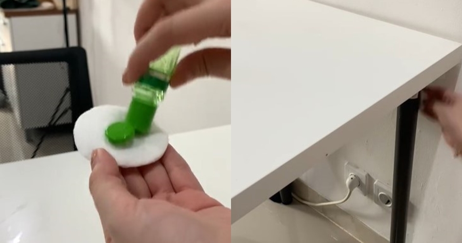 Tak perlu semprotan khusus serangga, ini cara ampuh usir semut di meja makan pakai 1 bahan