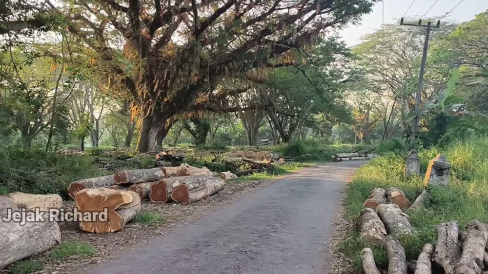 kampung halaman masa kecil Ari Lasso terbengkalai © berbagai sumber