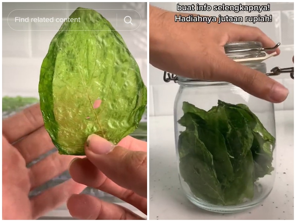 Tanpa tepung, ini trik membuat keripik bayam yang krispi dan gurih