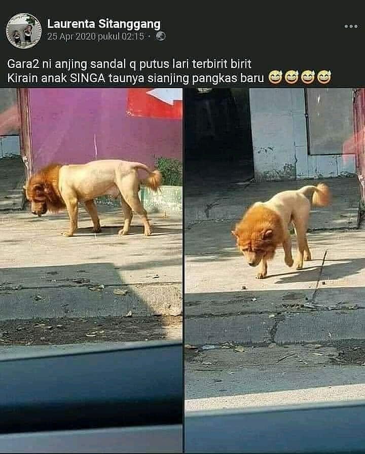 13 potret kocak penampakan benda asing © berbagai sumber