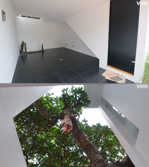 potret rumah mungil di tengah kota © YouTube potret rumah mungil di tengah kota © YouTube