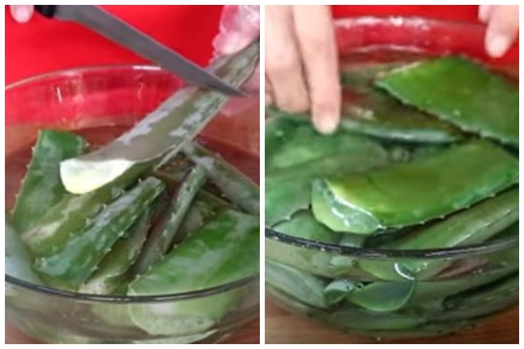 Cukup pakai 2 bahan, ini cara membersihkan lidah buaya agar aman dikonsumsi dan rasanya tidak pahit