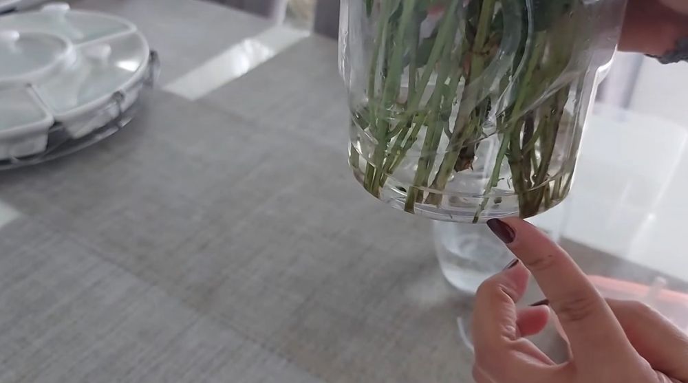 Pakai 1 bahan dapur, trik mengawetkan kemangi ini bikin daunnya tetap hijau berminggu-minggu