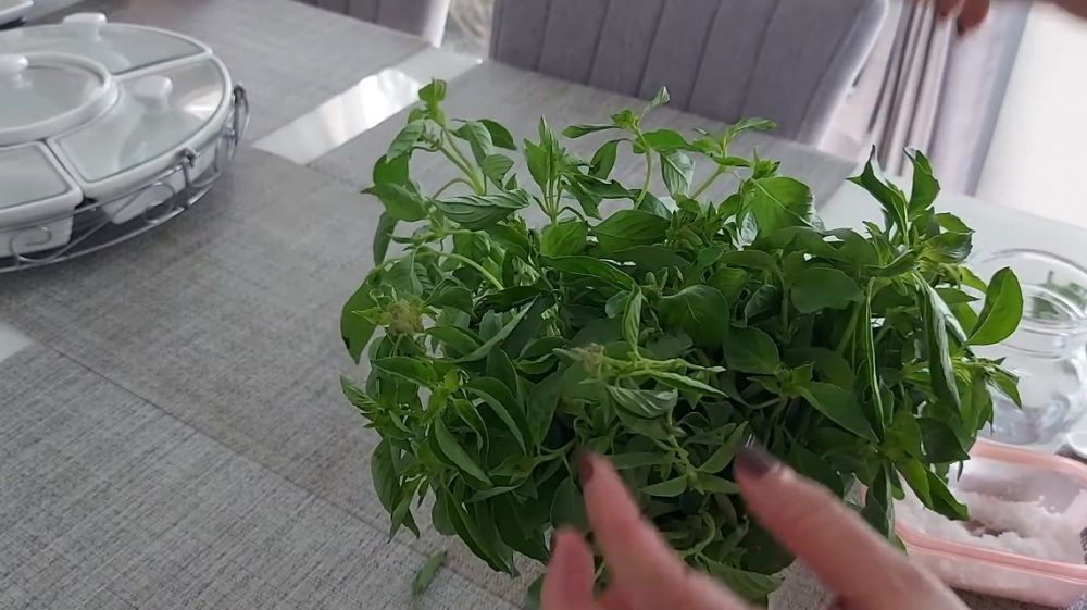 Pakai 1 bahan dapur, trik mengawetkan kemangi ini bikin daunnya tetap hijau berminggu-minggu