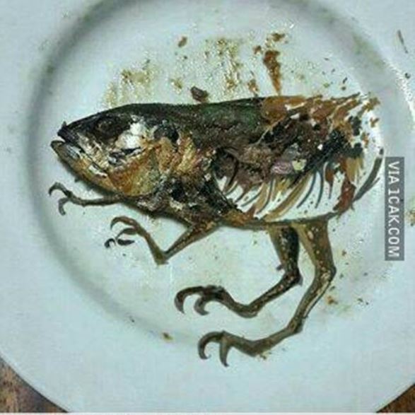 Potret kocak makan pakai lauk ikan Berbagai sumber