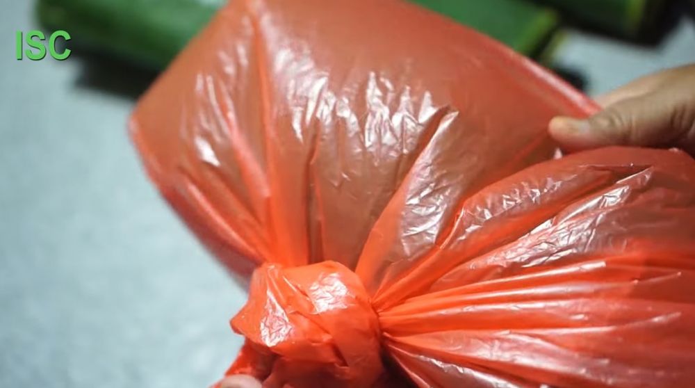 Cara ampuh menyimpan daun pisang supaya awet 1 minggu tanpa kulkas