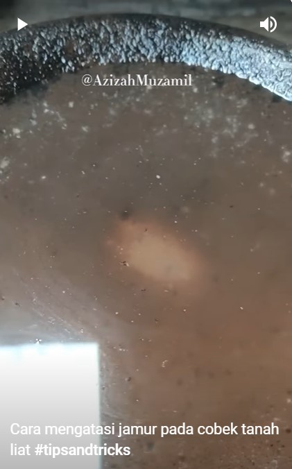 Jangan cuma dicuci, begini cara menghilangkan jamur di cobek tanah liat agar tak tumbuh lagi