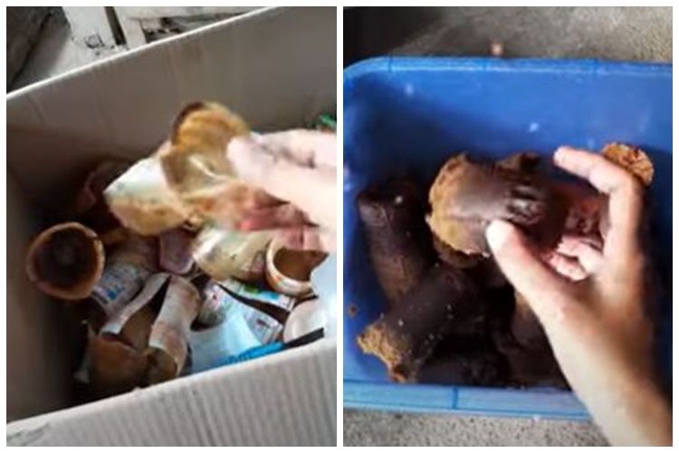 Cukup pakai barang bekas, begini trik mengatasi gula merah yang sudah mencair agar padat kembali