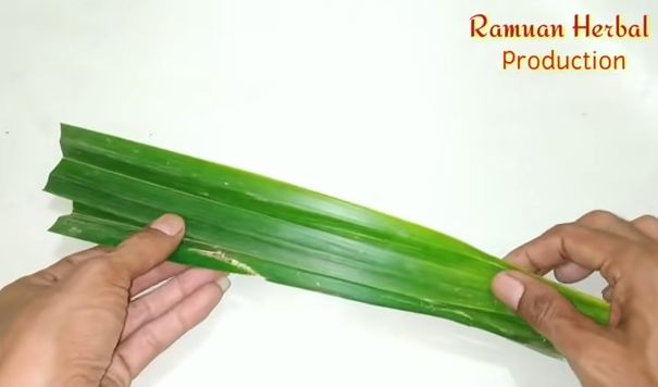 Bukan pakai sabun cuci piring, ini cara ampuh mengusir lalat di meja makan cuma pakai 1 bahan dapur