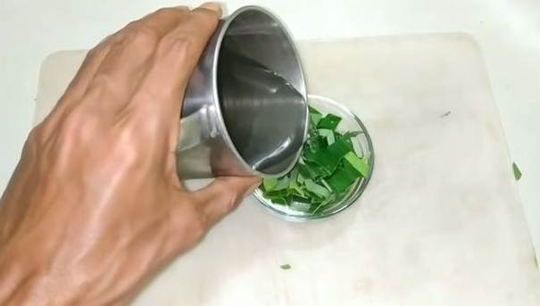 Bukan pakai sabun cuci piring, ini cara ampuh mengusir lalat di meja makan cuma pakai 1 bahan dapur